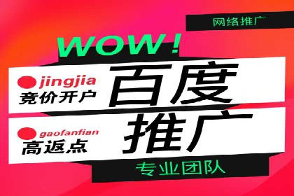 案例分享：百度运营推广助力企业打造行业领先地位